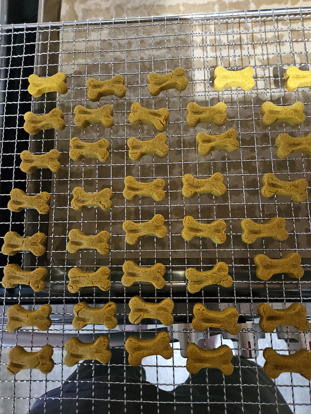Pumpkin + Peanut Butter Recipe Treats for X-Small to Small Dogs