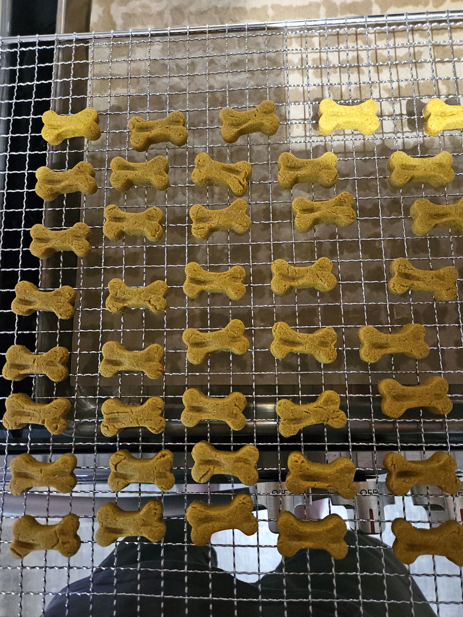 Pumpkin + Peanut Butter Recipe Treats for X-Small to Small Dogs