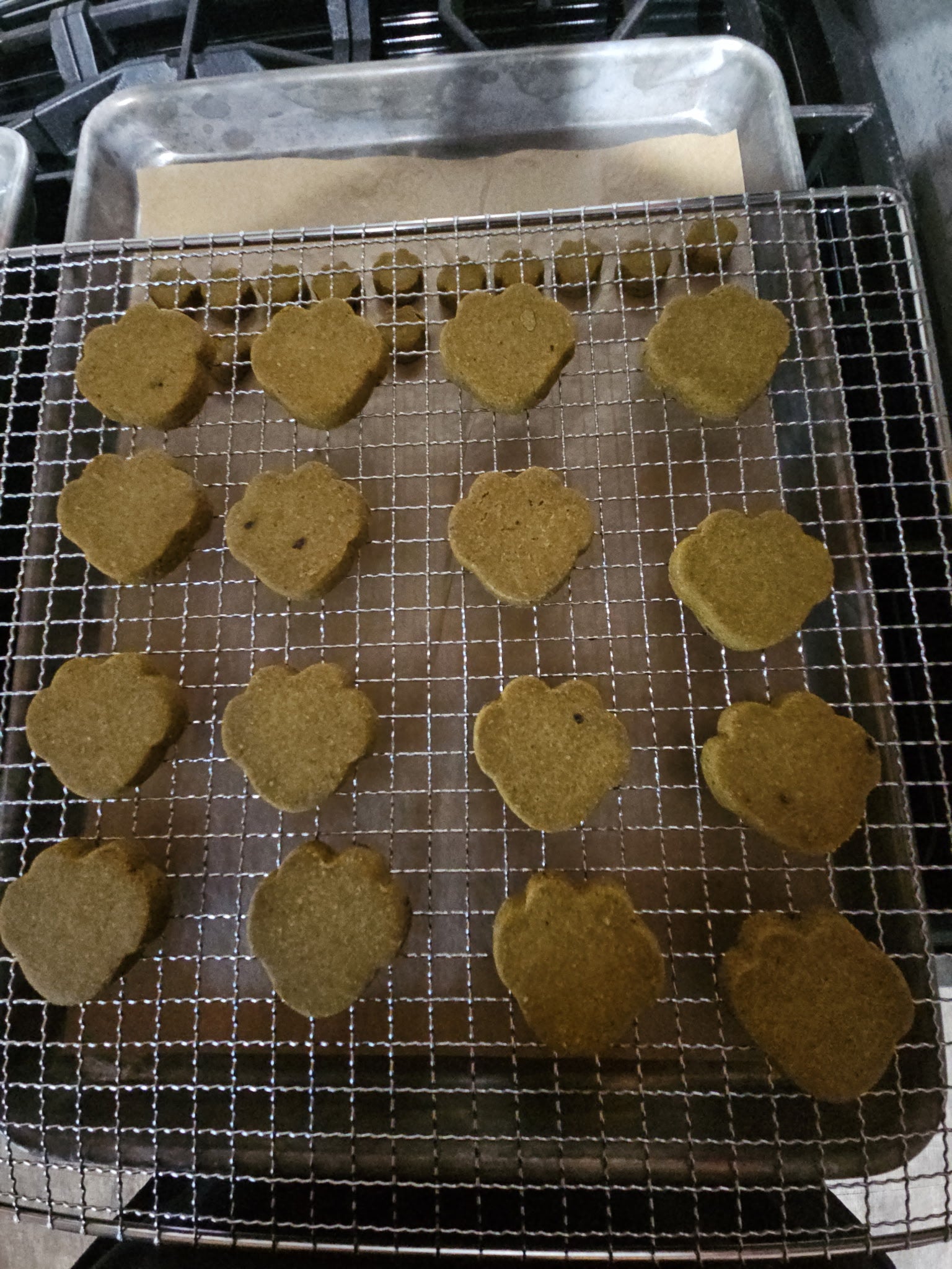 Pumpkin + Blueberry Recipe X-small to Small Dog Treats